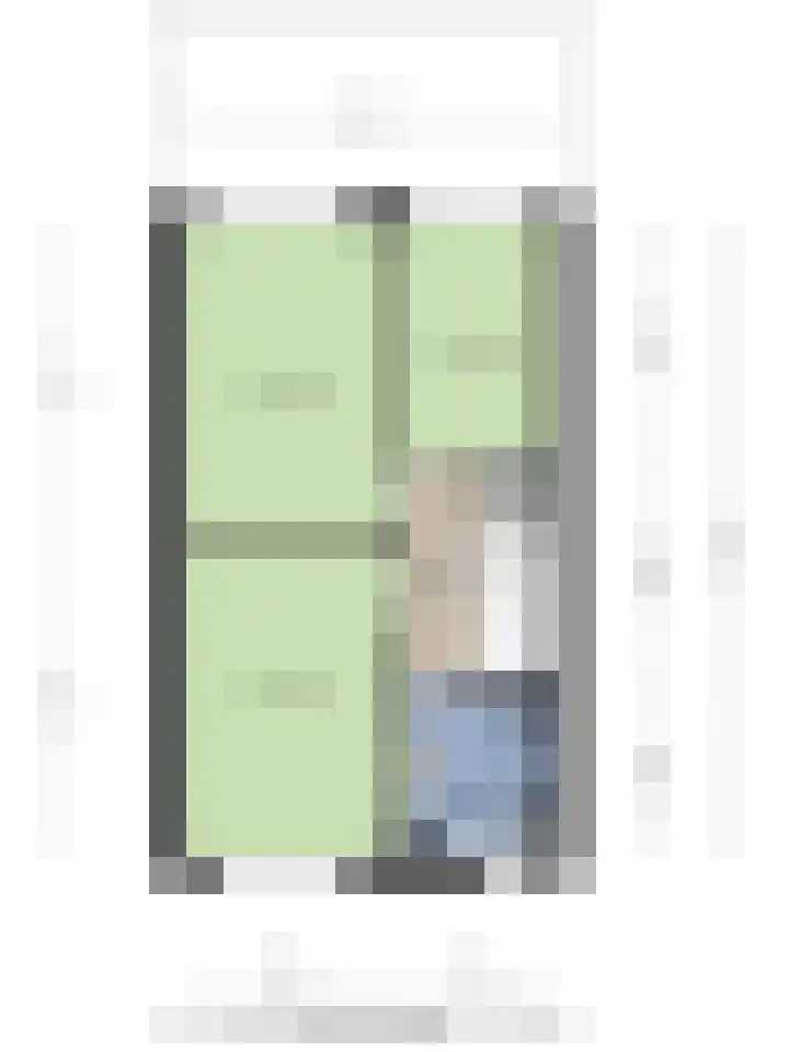 Zilvermeeuw 1 De Lier thumbnail 27