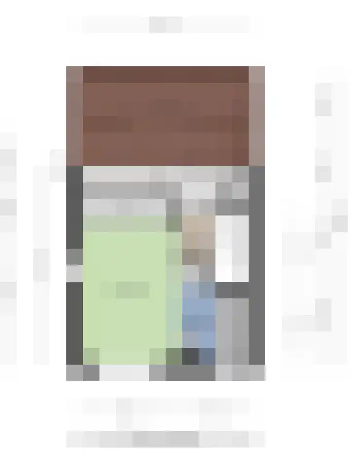 Zilvermeeuw 1 De Lier thumbnail 28