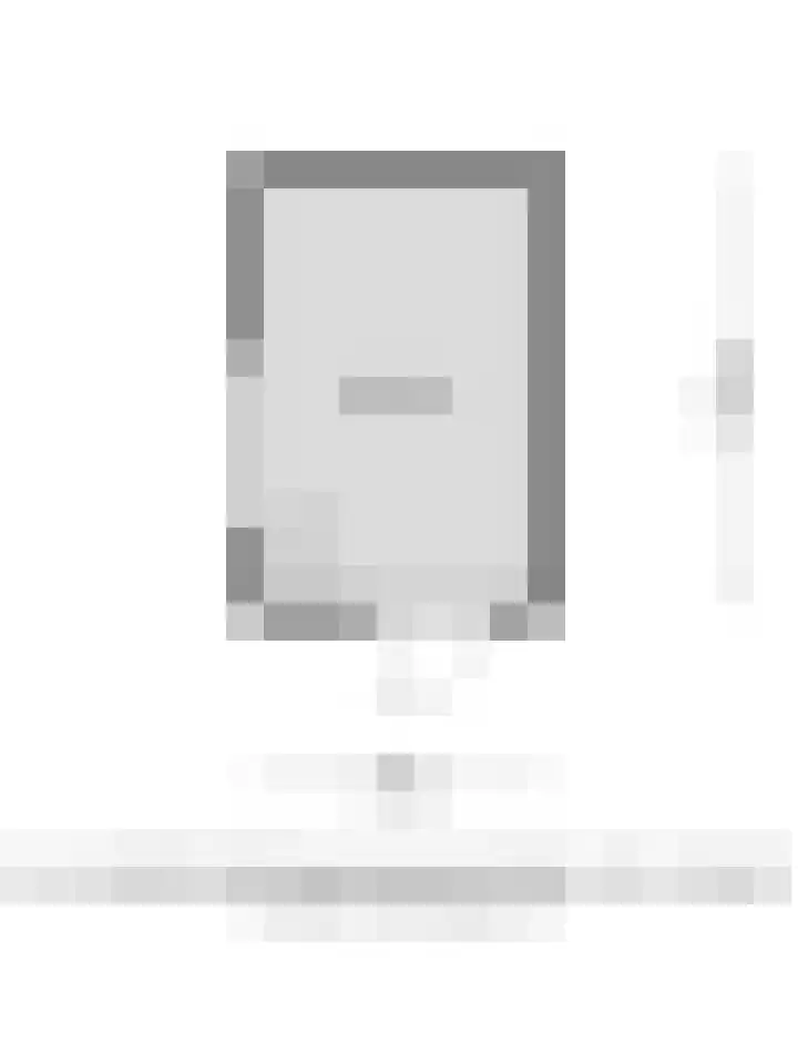 Zilvermeeuw 1 De Lier thumbnail 29