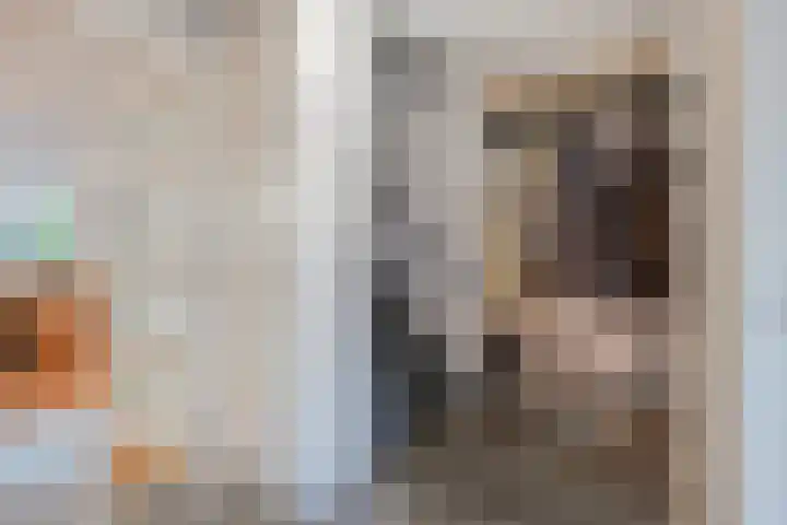 Zilvermeeuw 1 De Lier foto 3