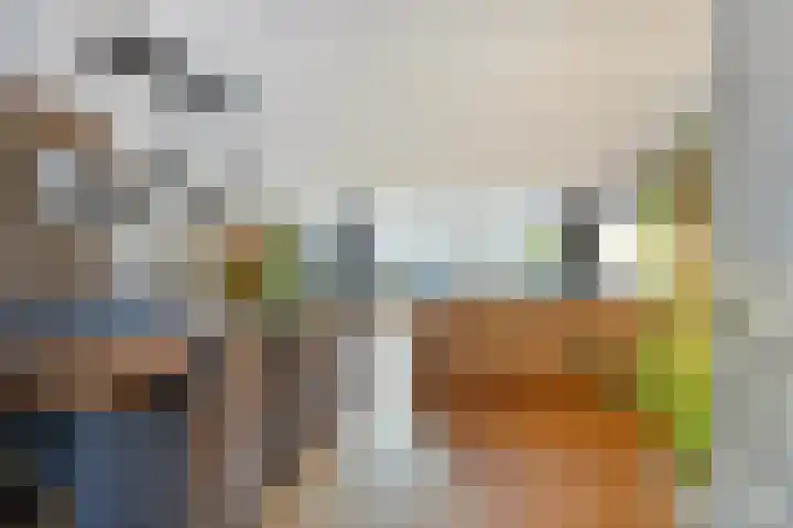 Zilvermeeuw 1 De Lier thumbnail 5