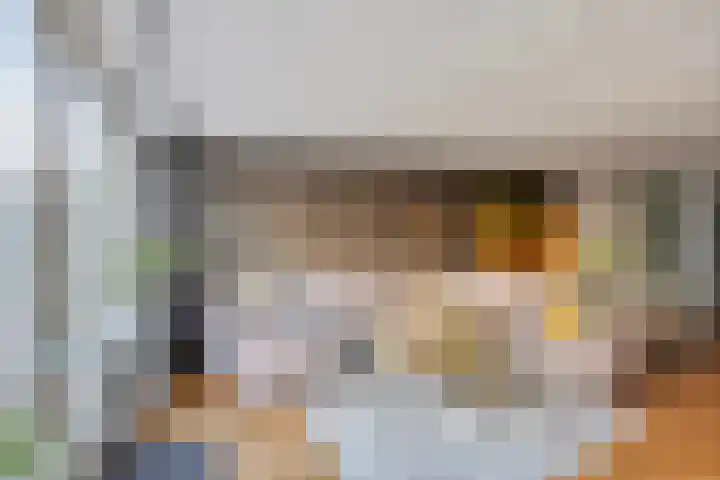 Zilvermeeuw 1 De Lier thumbnail 7