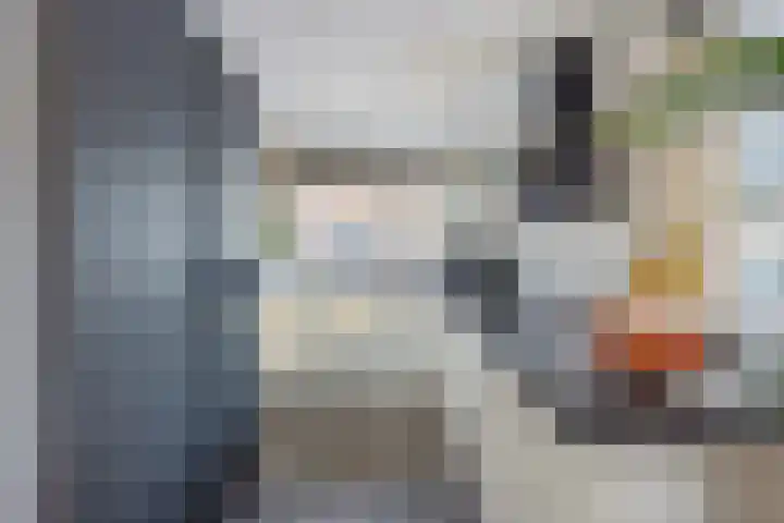 Zilvermeeuw 1 De Lier thumbnail 9