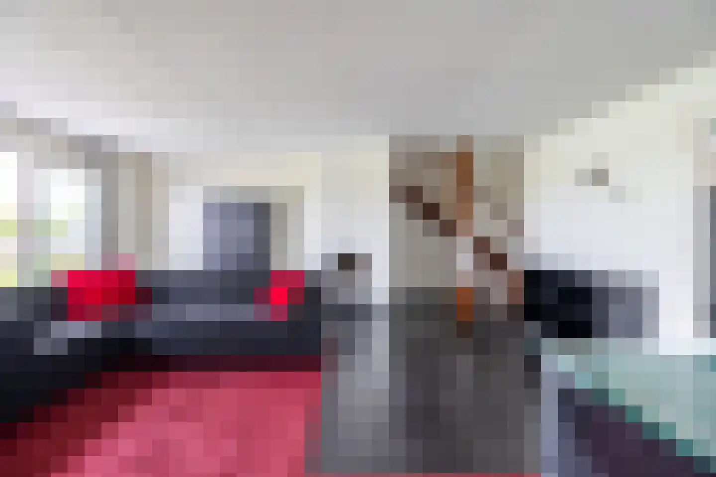 Zilvermeeuw 10 Lathum thumbnail 10