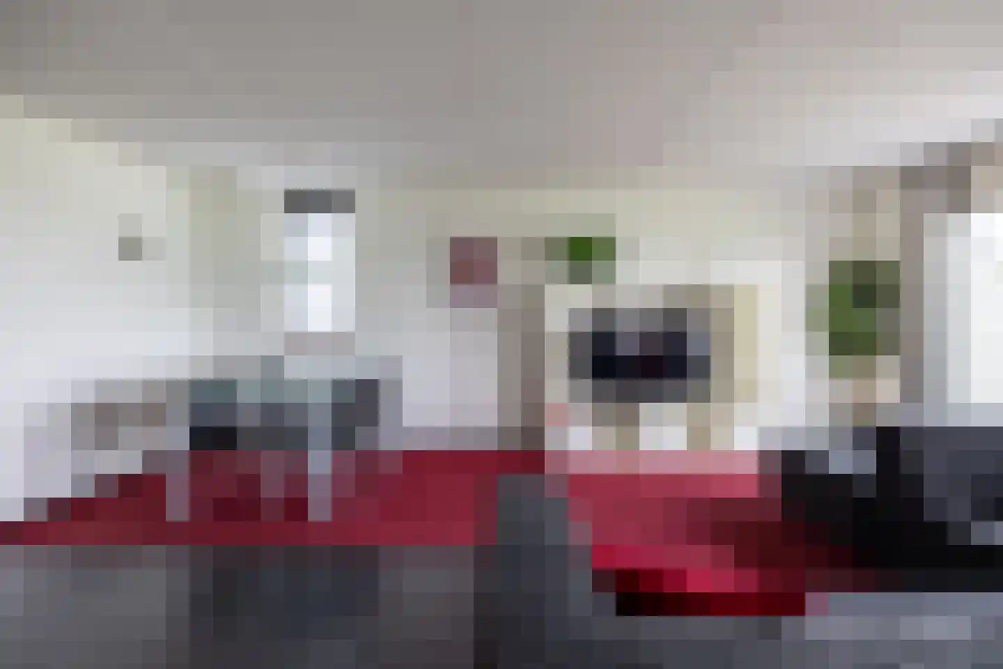 Zilvermeeuw 10 Lathum thumbnail 11