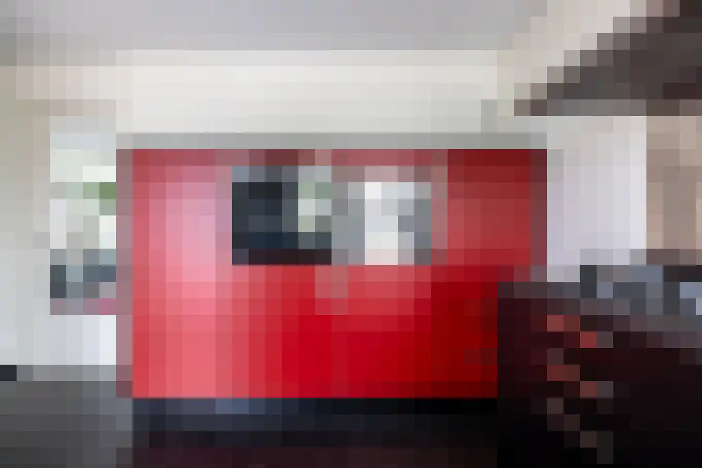 Zilvermeeuw 10 Lathum thumbnail 13