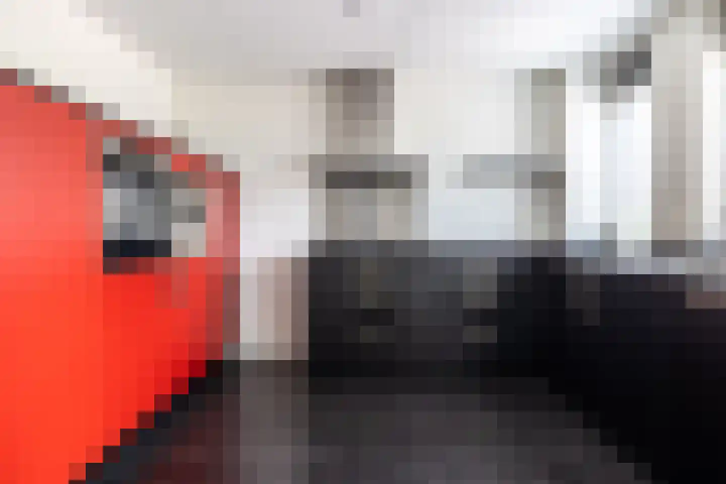 Zilvermeeuw 10 Lathum thumbnail 14