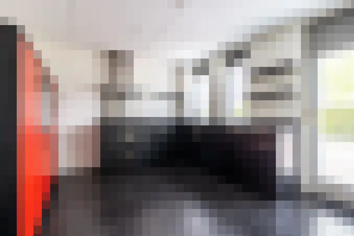 Zilvermeeuw 10 Lathum thumbnail 15