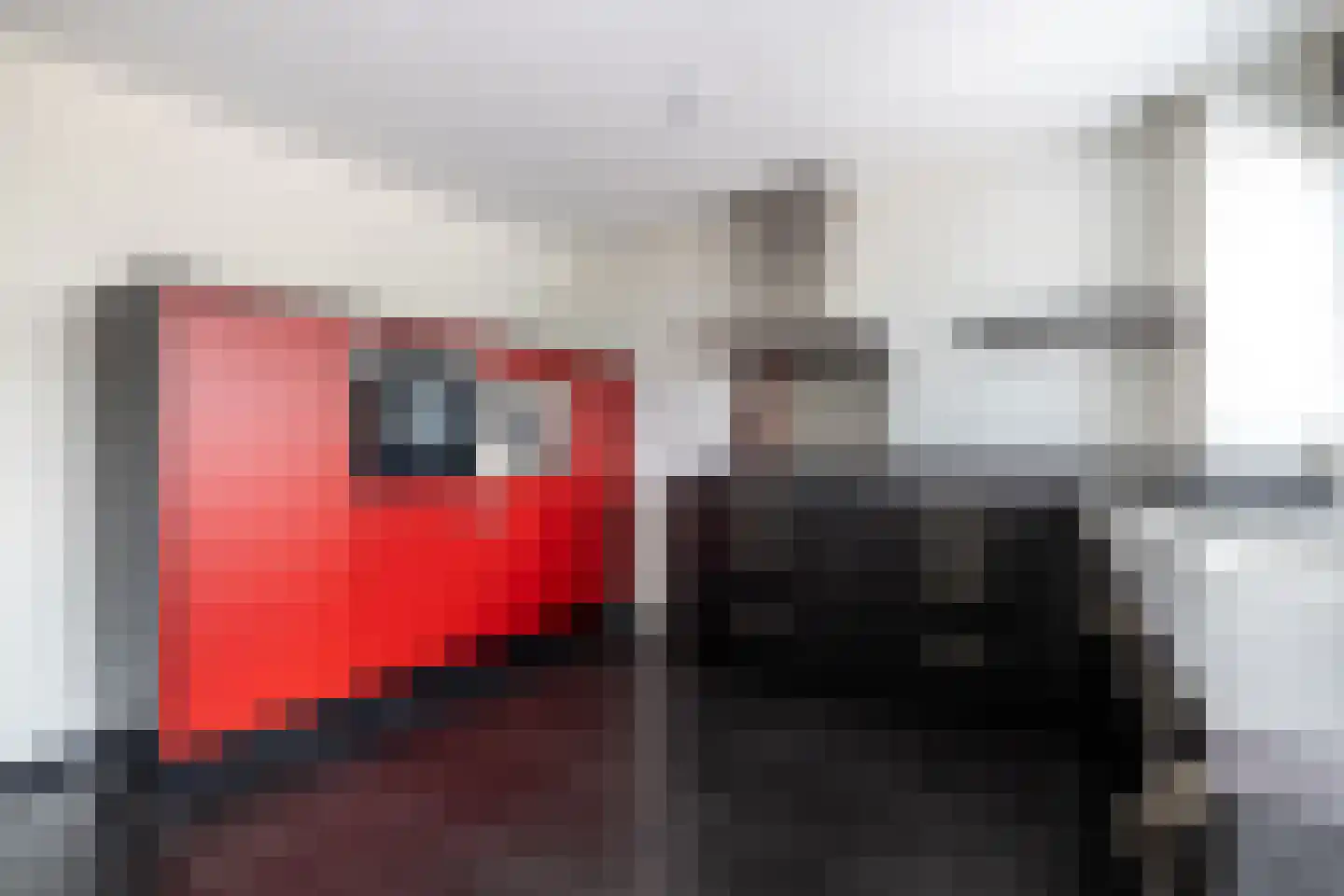 Zilvermeeuw 10 Lathum thumbnail 16