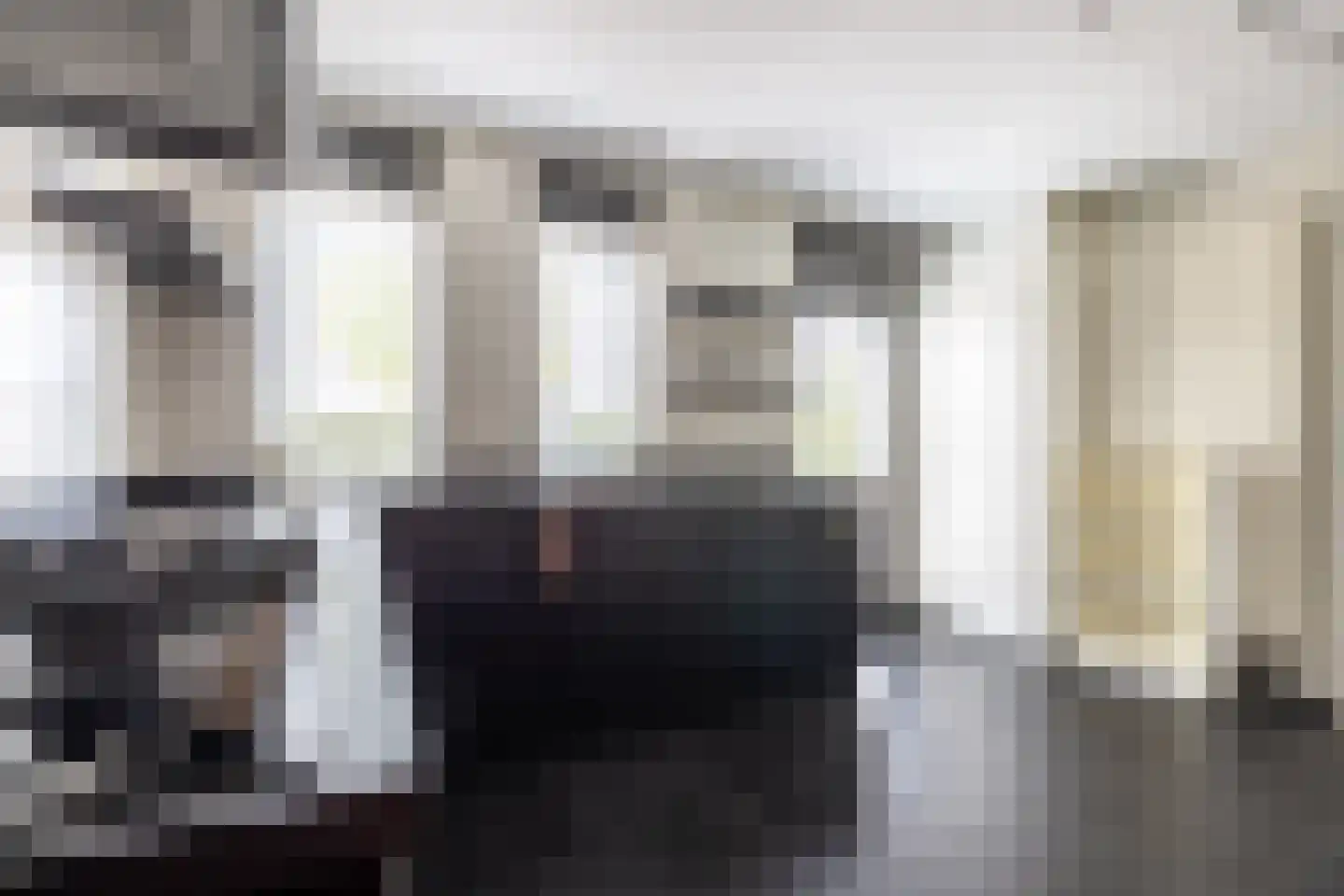 Zilvermeeuw 10 Lathum thumbnail 17