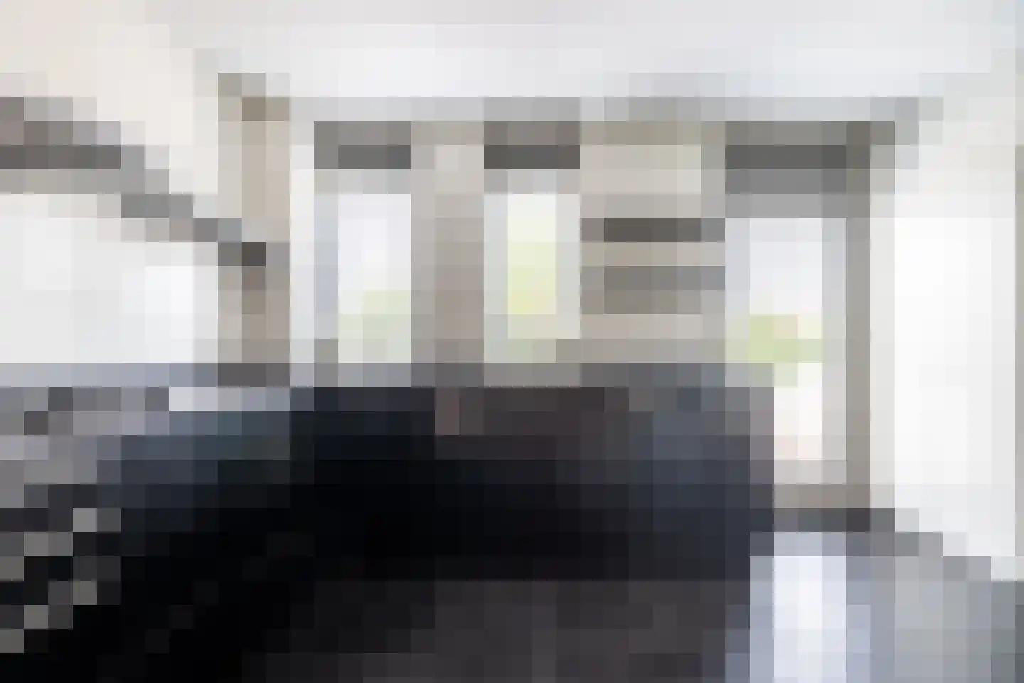 Zilvermeeuw 10 Lathum thumbnail 18