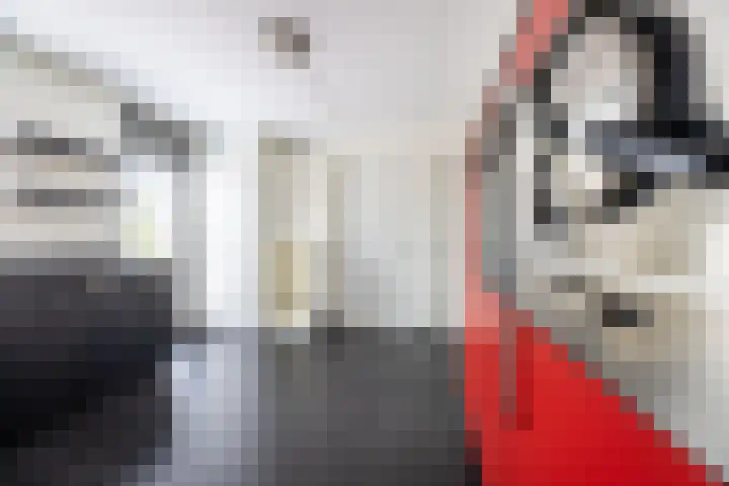 Zilvermeeuw 10 Lathum thumbnail 19