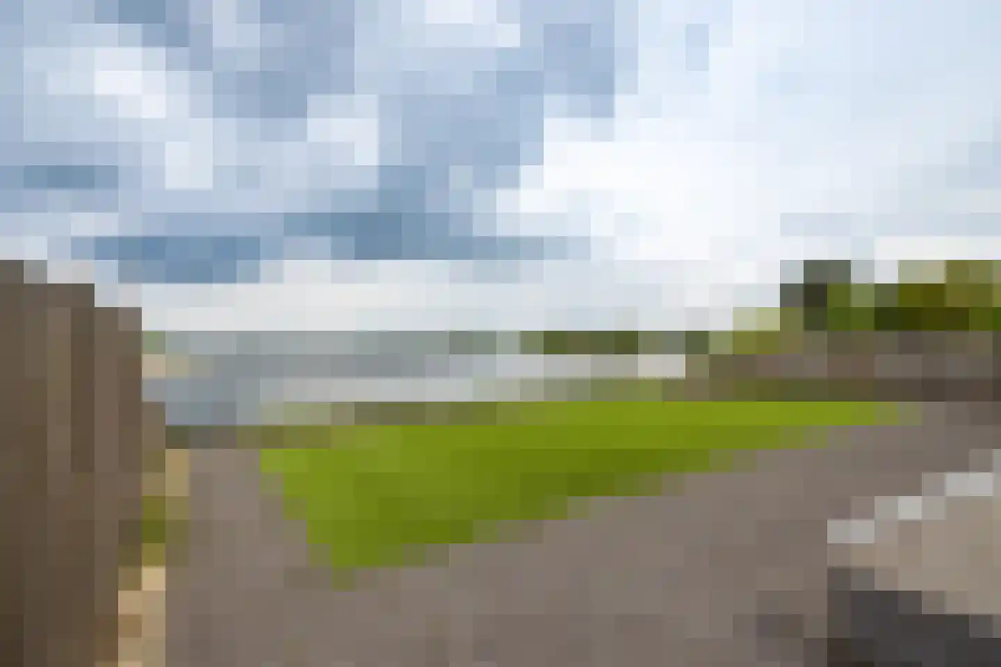 Zilvermeeuw 10 Lathum thumbnail 22