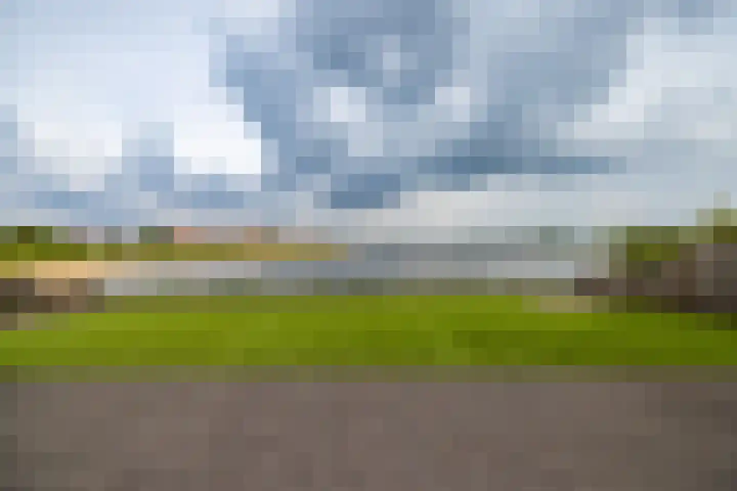 Zilvermeeuw 10 Lathum thumbnail 23