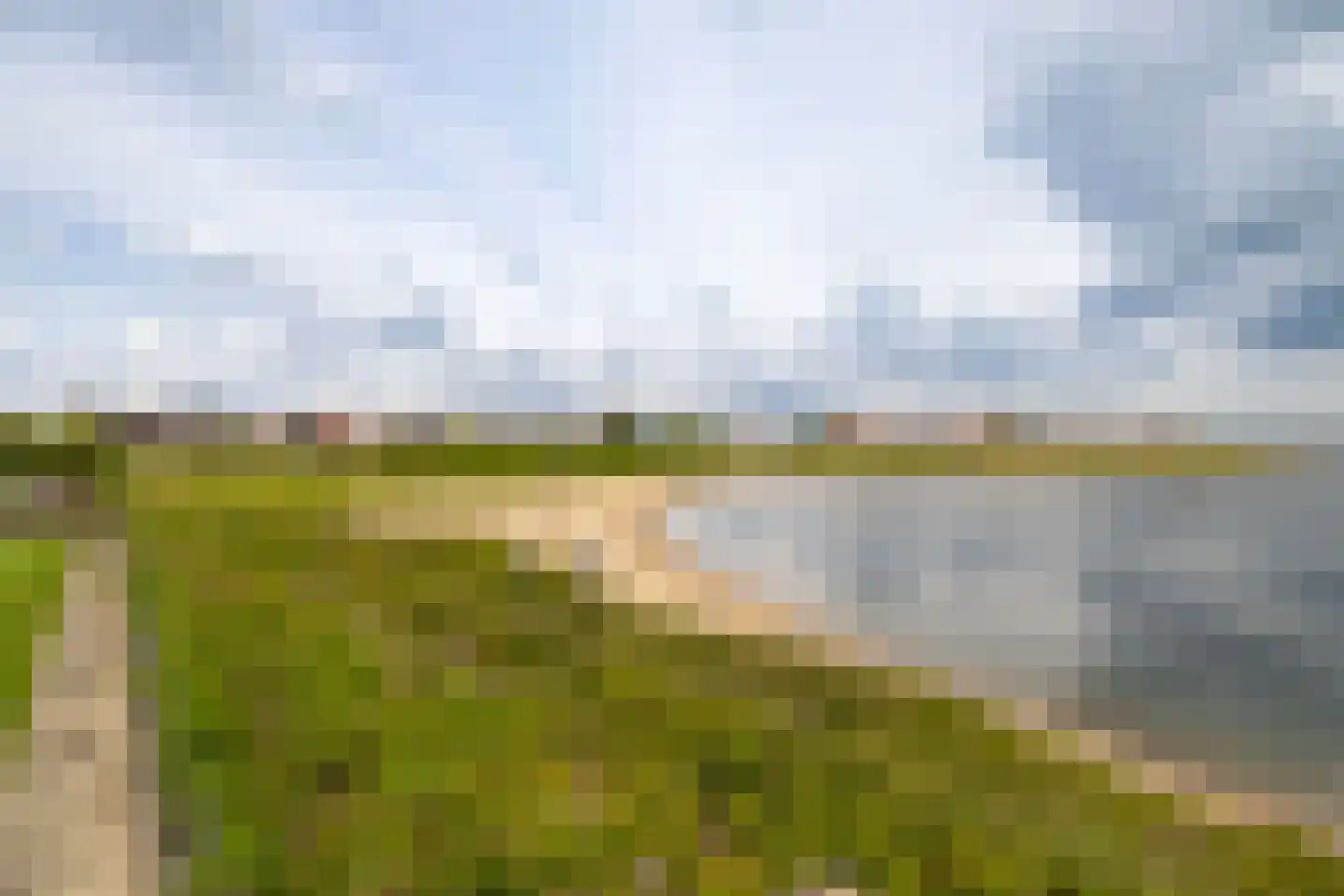 Zilvermeeuw 10 Lathum thumbnail 24