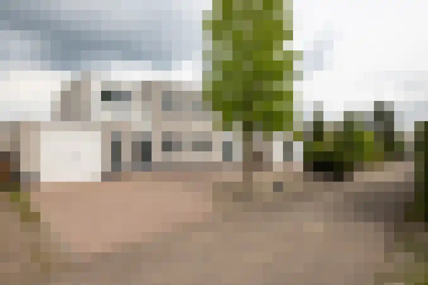 Zilvermeeuw 10 Lathum thumbnail 25