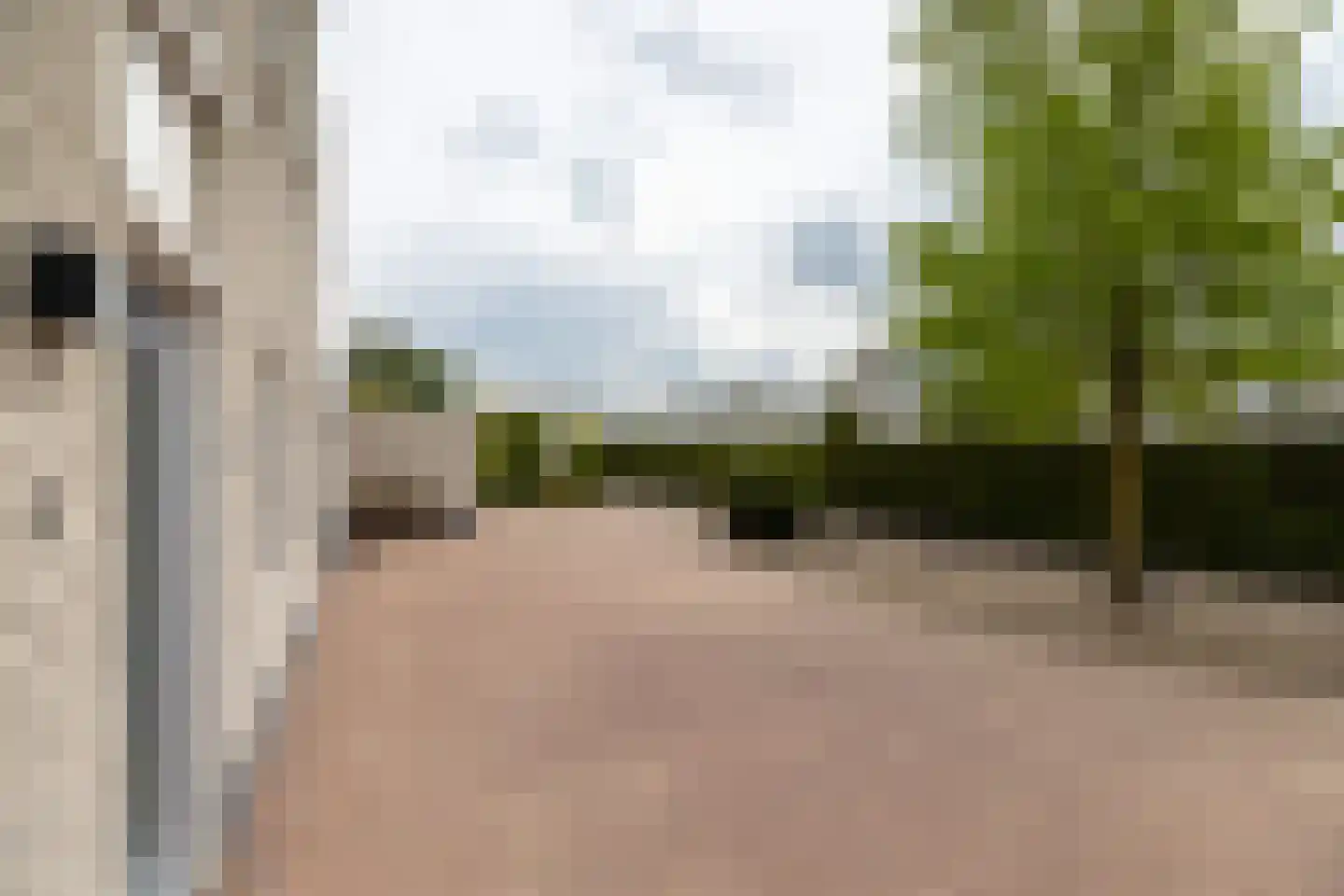 Zilvermeeuw 10 Lathum thumbnail 27