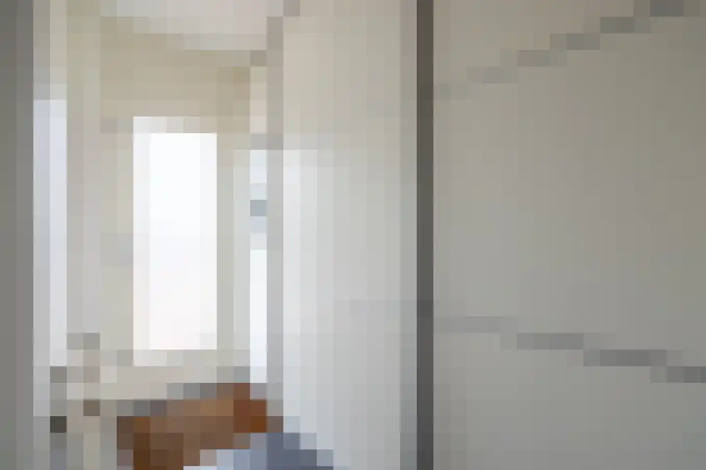 Zilvermeeuw 10 Lathum thumbnail 29