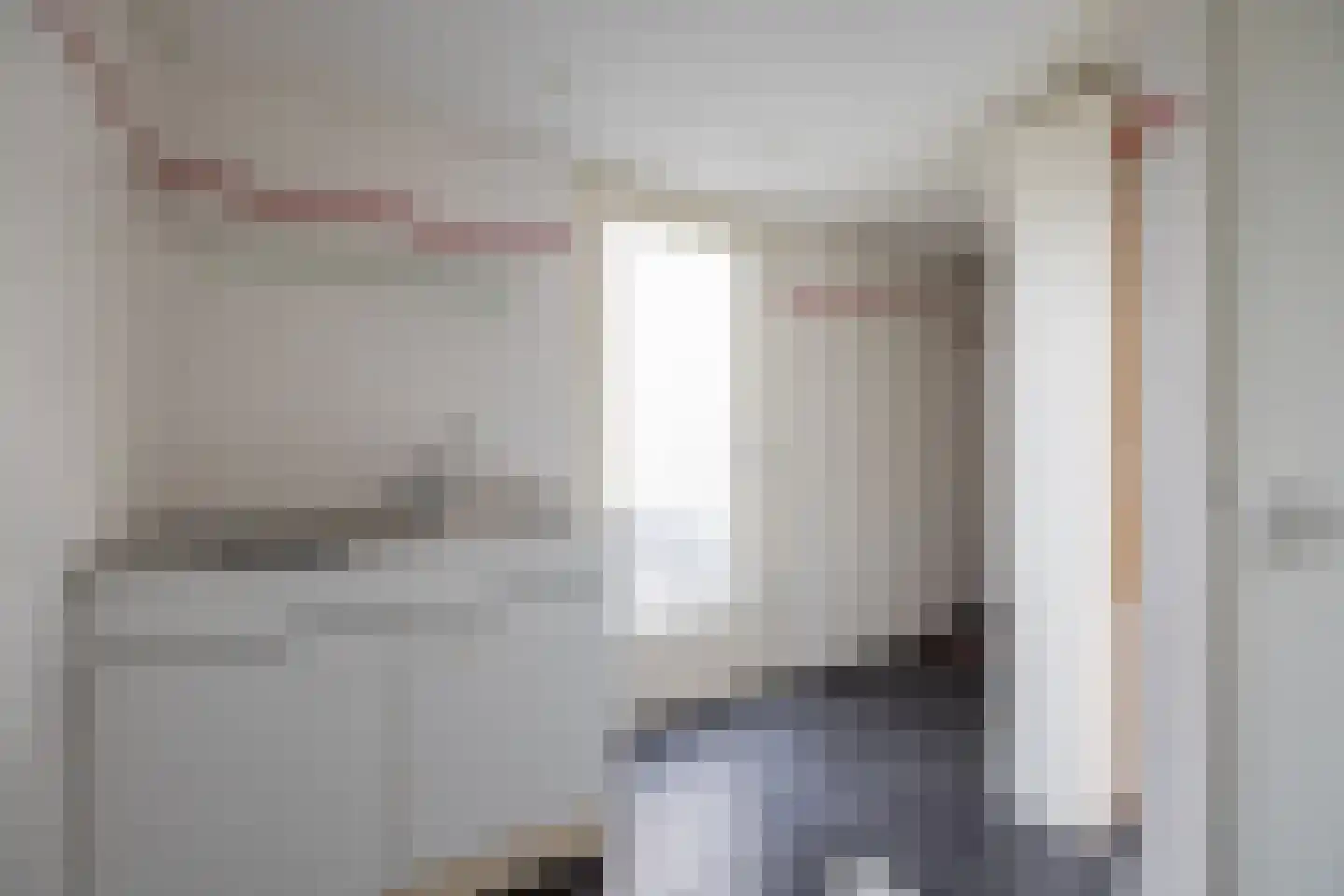 Zilvermeeuw 10 Lathum thumbnail 31