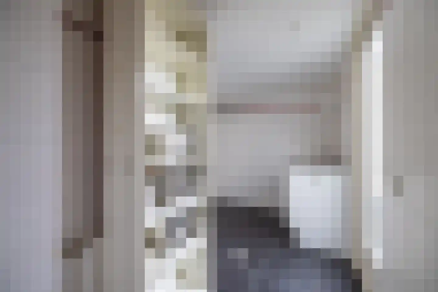 Zilvermeeuw 10 Lathum thumbnail 32