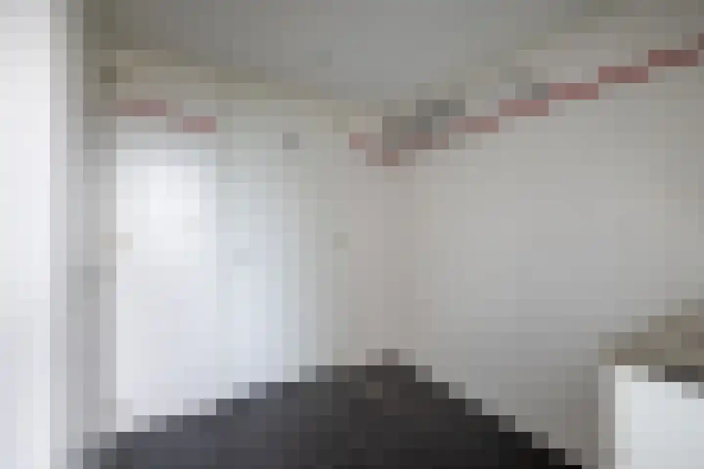 Zilvermeeuw 10 Lathum thumbnail 33