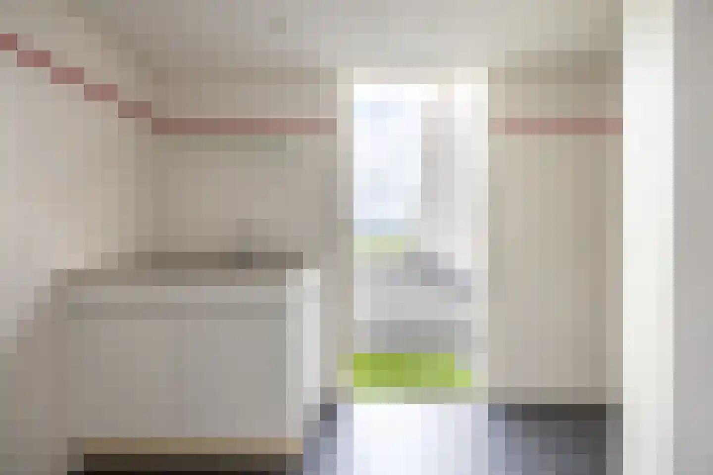 Zilvermeeuw 10 Lathum thumbnail 34