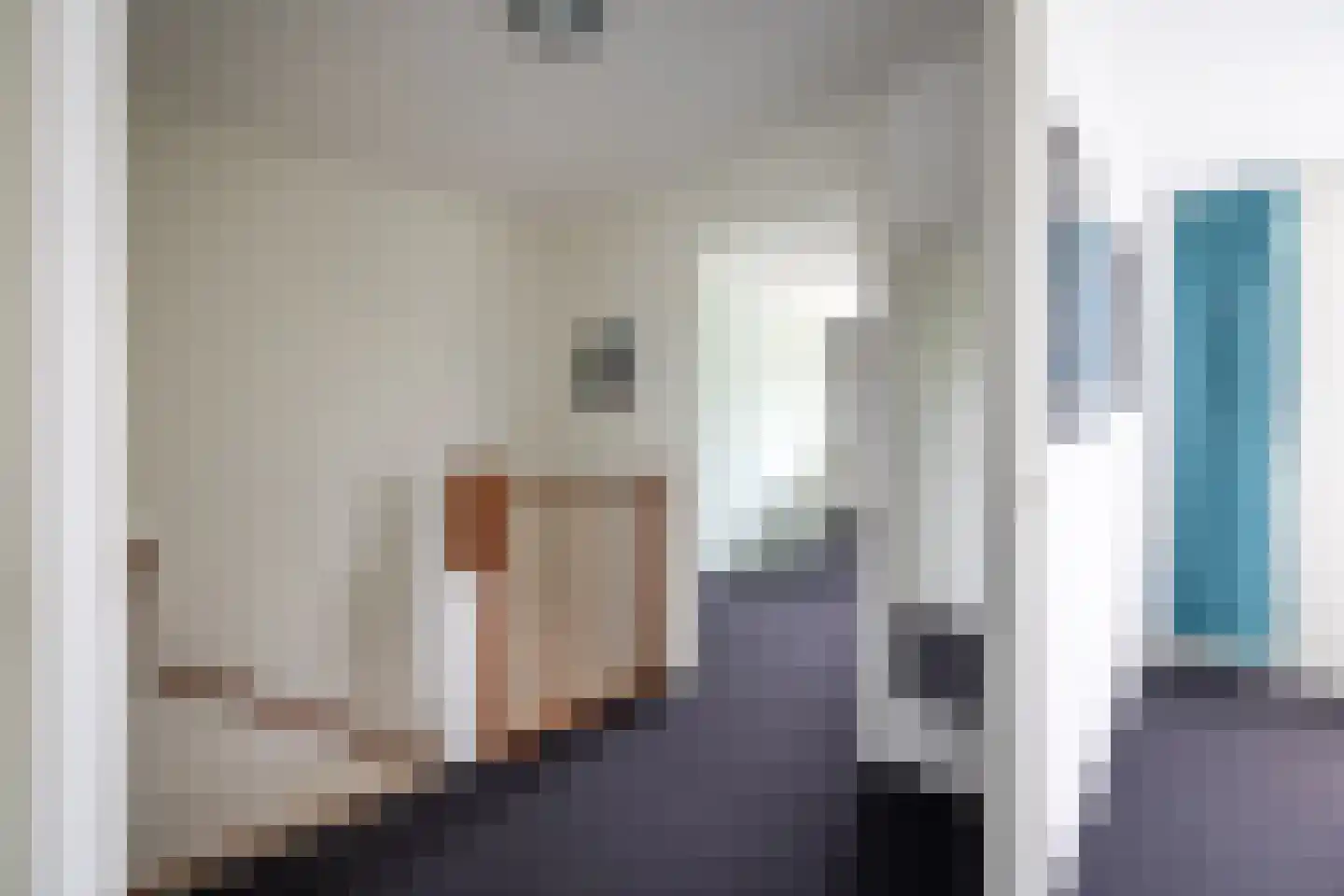 Zilvermeeuw 10 Lathum thumbnail 36