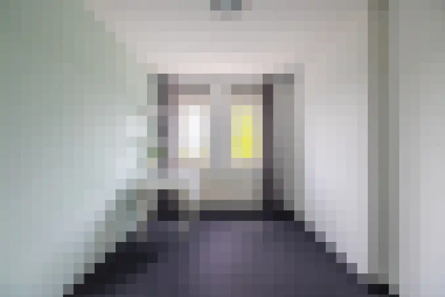 Zilvermeeuw 10 Lathum thumbnail 37