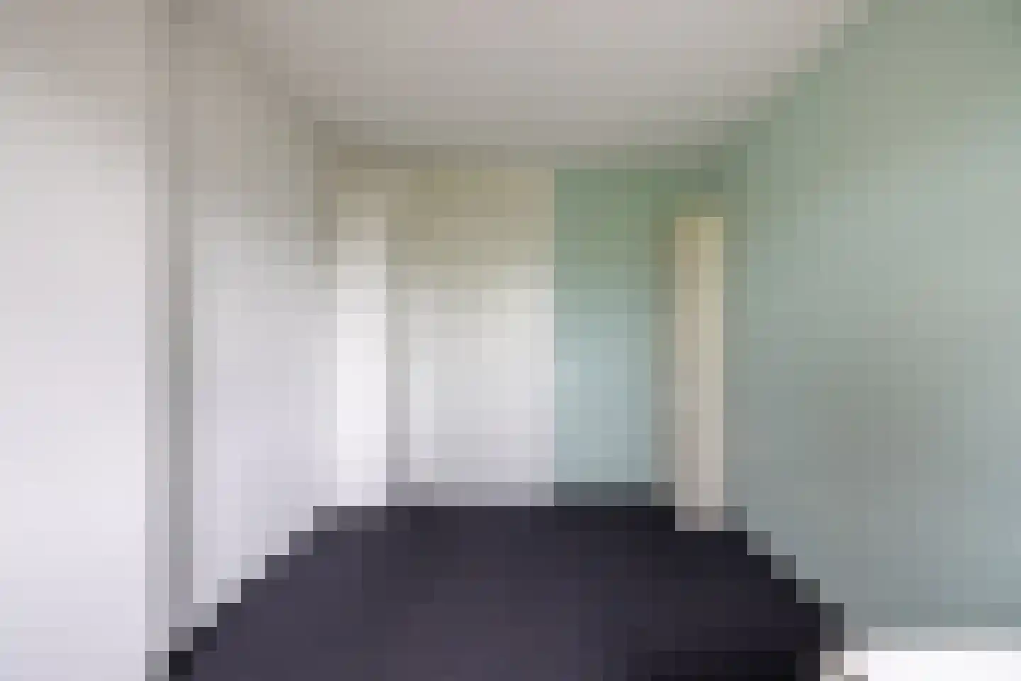 Zilvermeeuw 10 Lathum thumbnail 38
