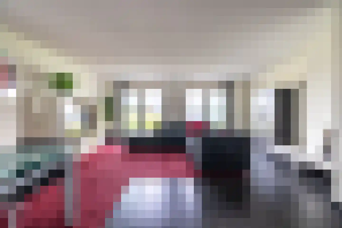 Zilvermeeuw 10 Lathum thumbnail 4