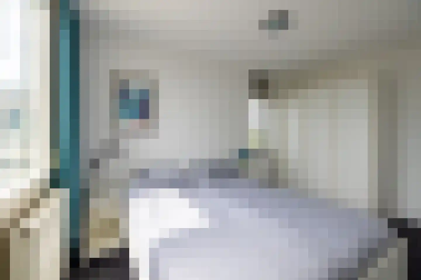 Zilvermeeuw 10 Lathum thumbnail 41