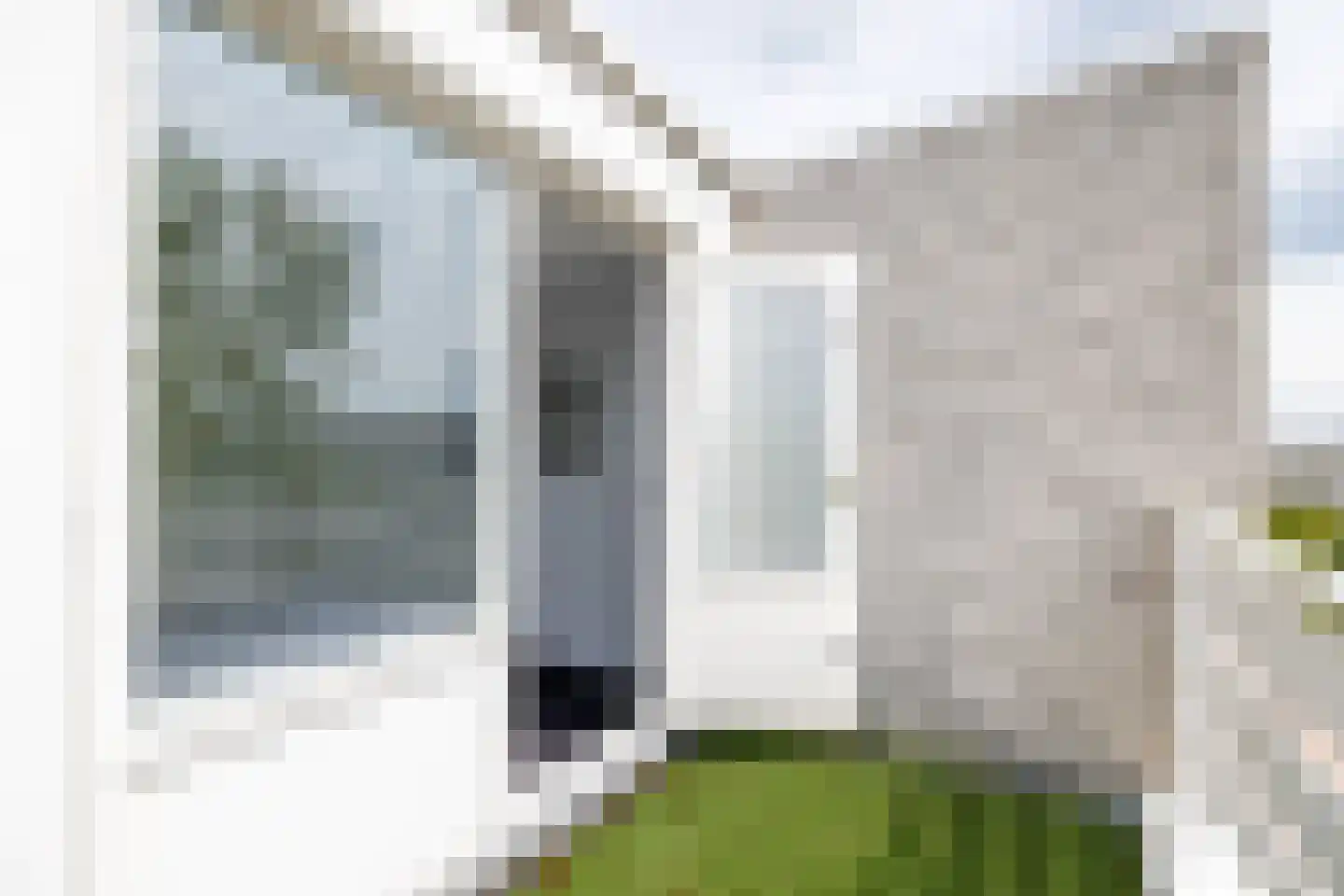 Zilvermeeuw 10 Lathum thumbnail 42
