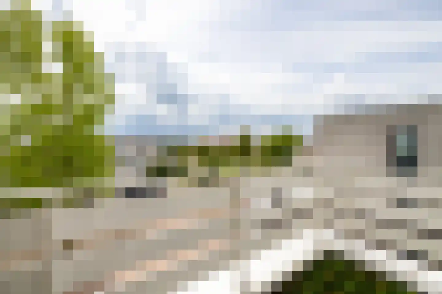 Zilvermeeuw 10 Lathum thumbnail 44