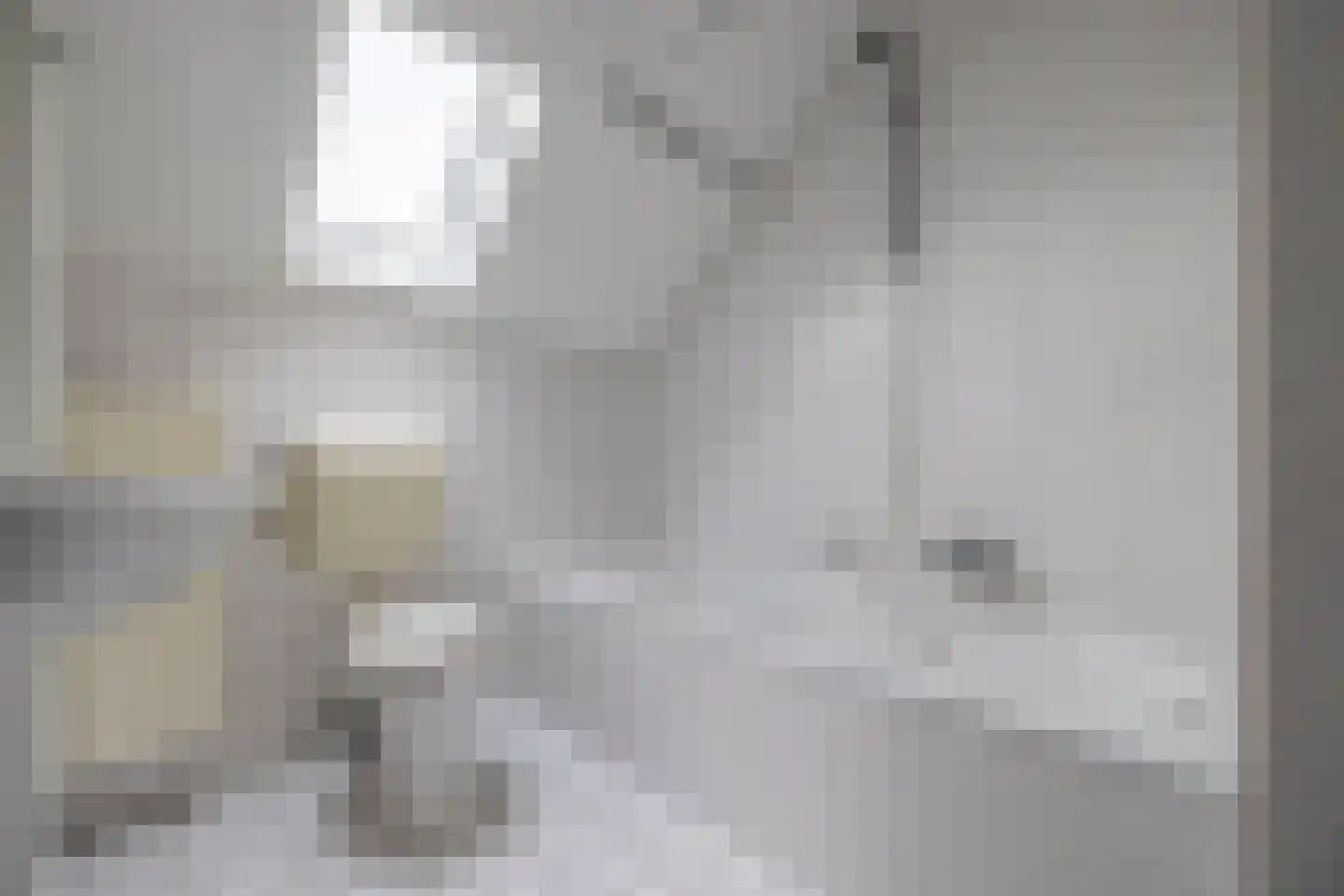 Zilvermeeuw 10 Lathum thumbnail 46
