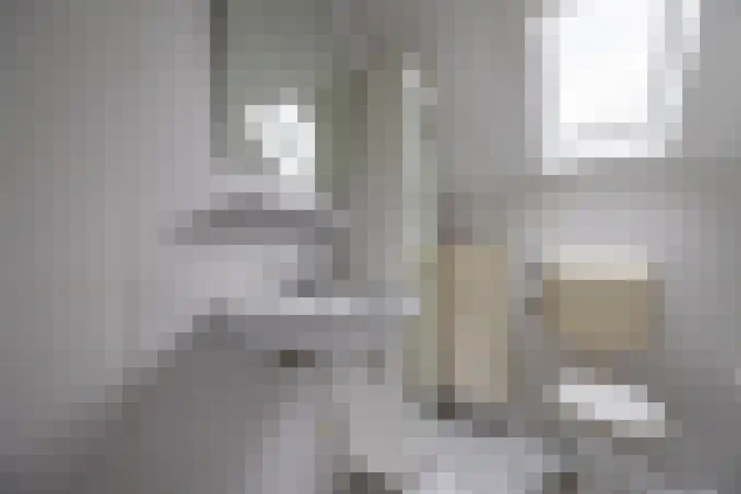 Zilvermeeuw 10 Lathum thumbnail 47