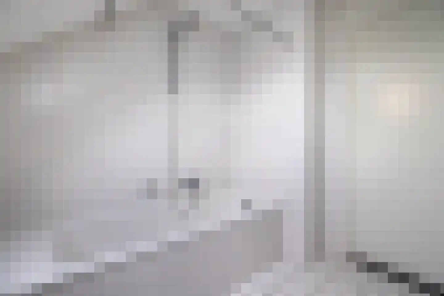 Zilvermeeuw 10 Lathum thumbnail 48