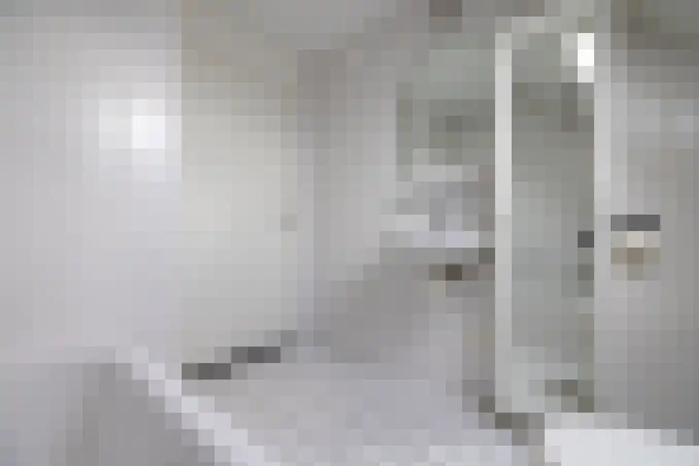 Zilvermeeuw 10 Lathum thumbnail 49