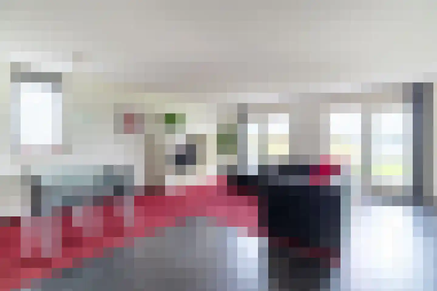 Zilvermeeuw 10 Lathum thumbnail 5