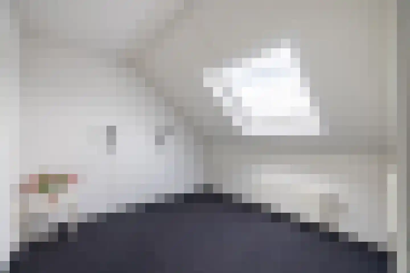 Zilvermeeuw 10 Lathum thumbnail 50