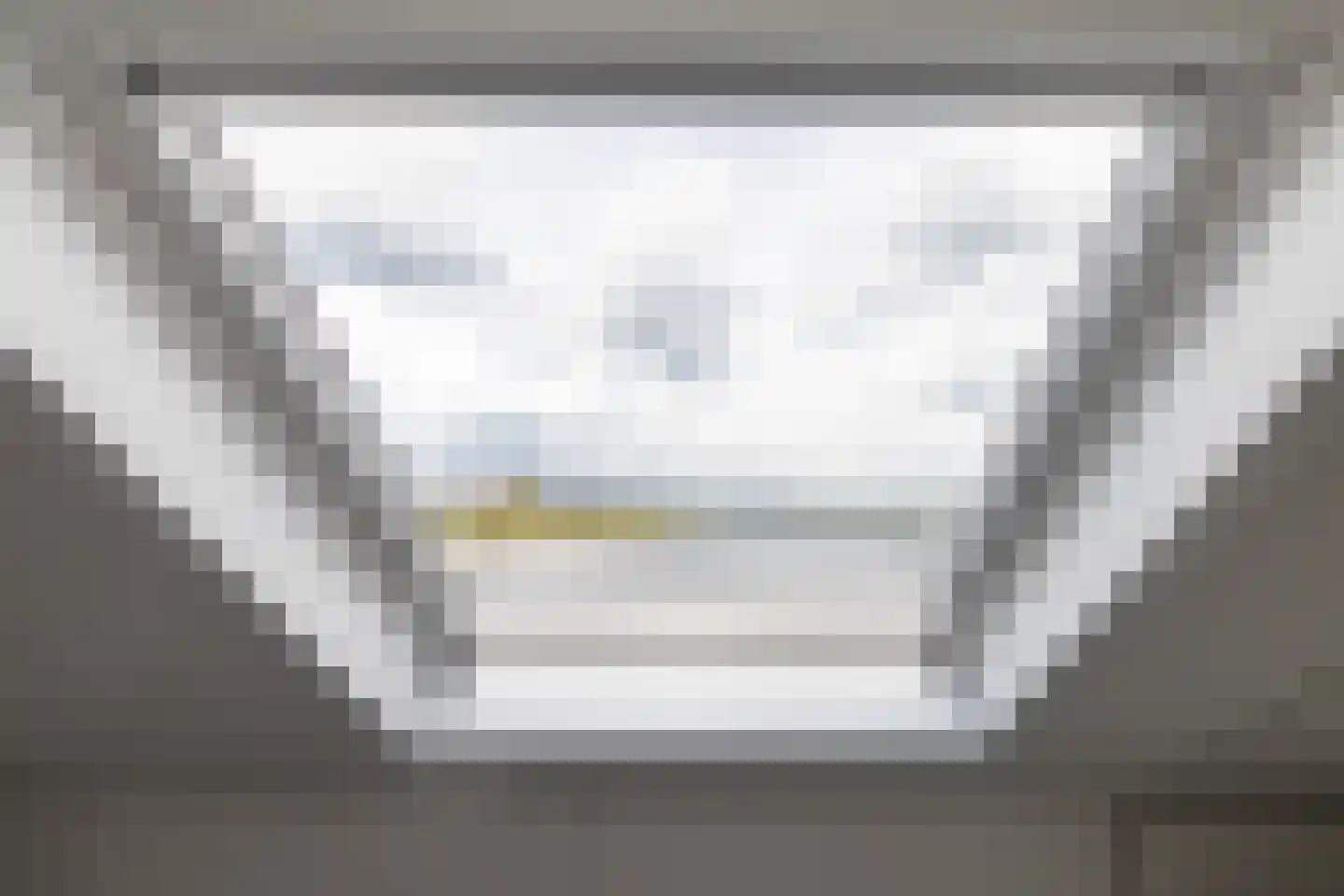Zilvermeeuw 10 Lathum thumbnail 51