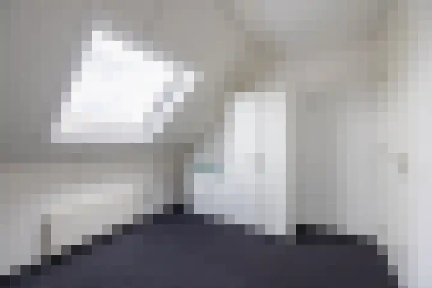 Zilvermeeuw 10 Lathum thumbnail 52