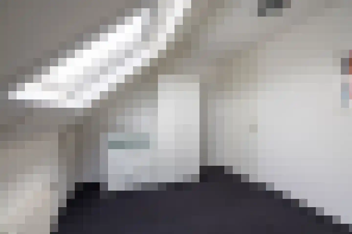 Zilvermeeuw 10 Lathum thumbnail 53