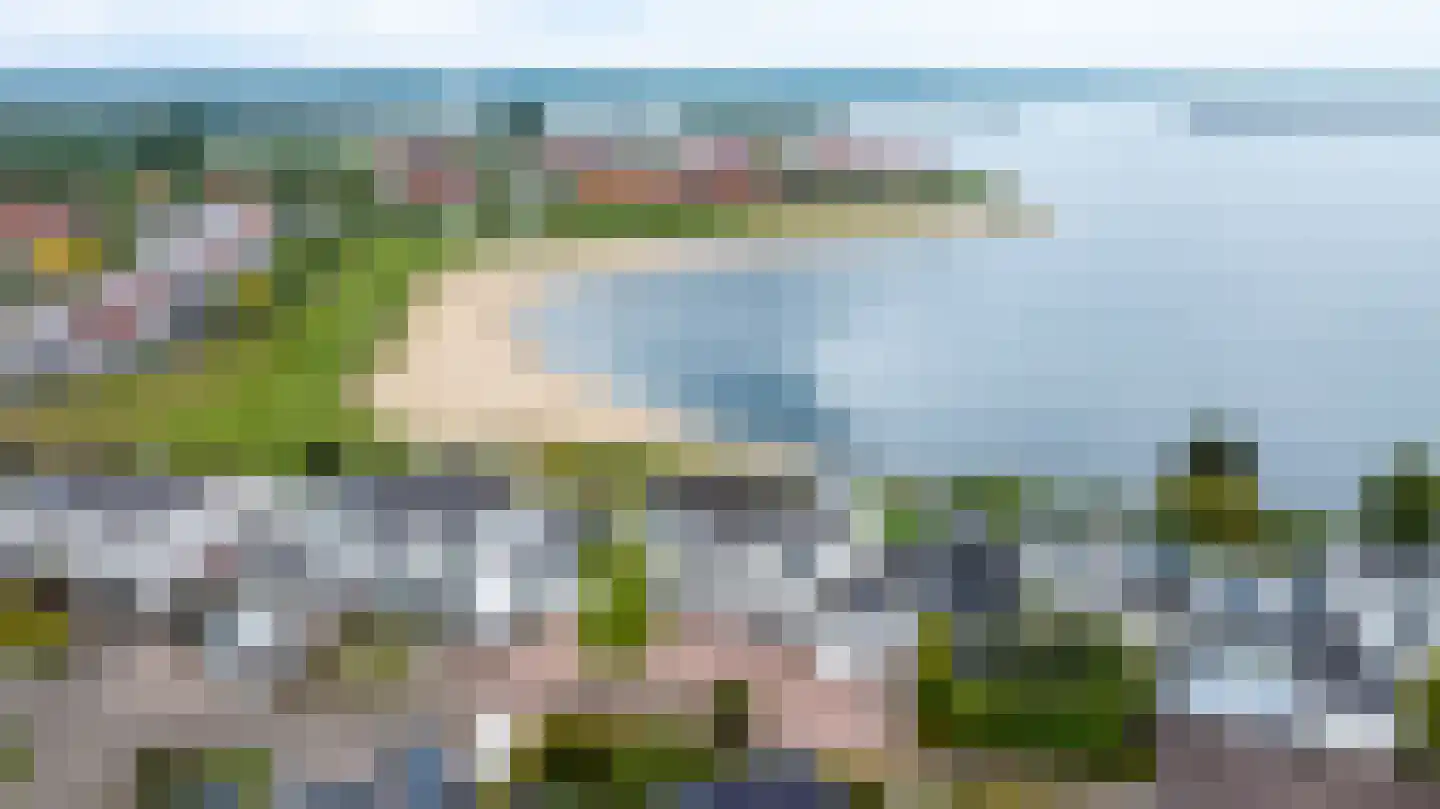 Zilvermeeuw 10 Lathum thumbnail 55