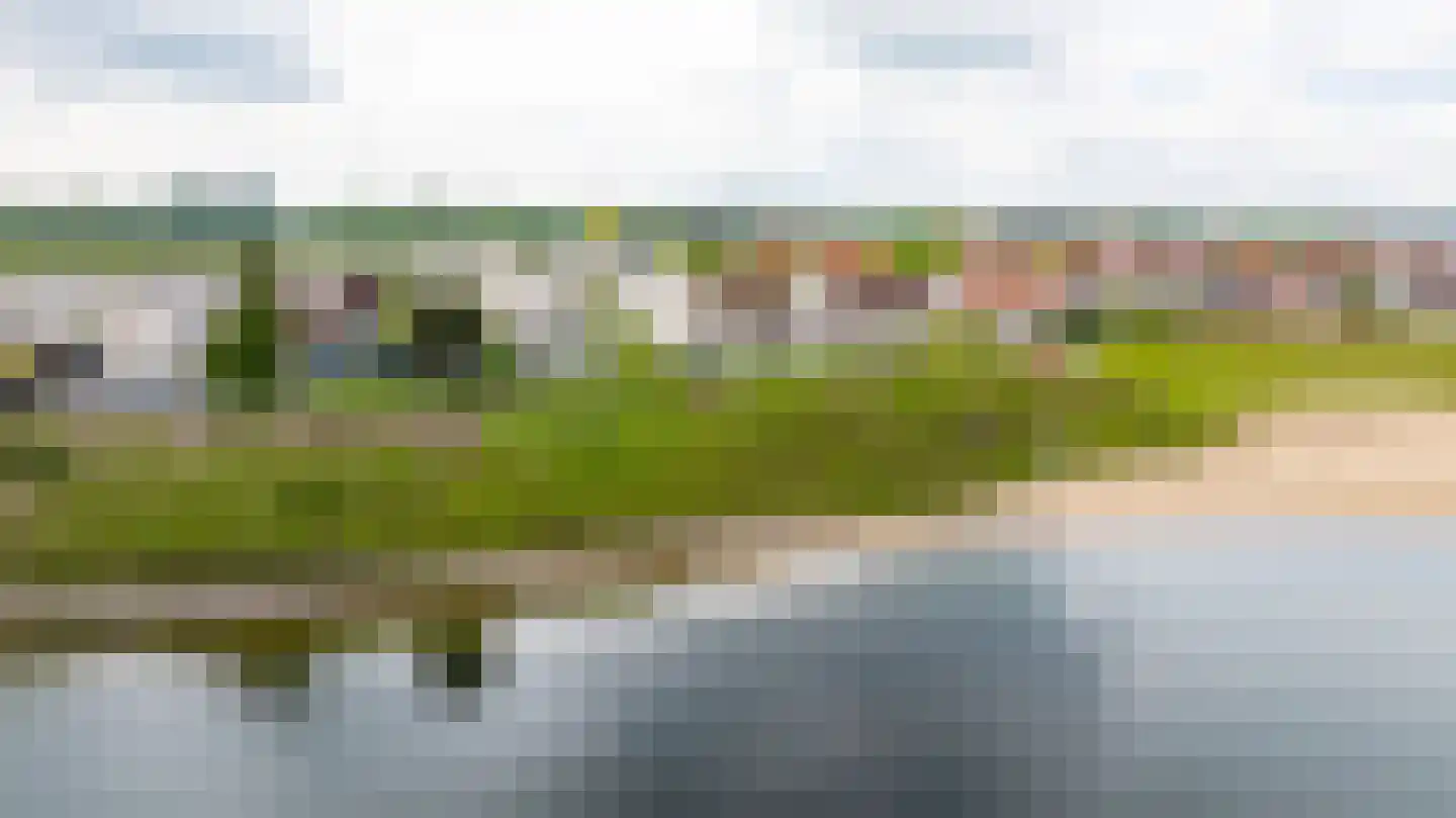 Zilvermeeuw 10 Lathum thumbnail 57