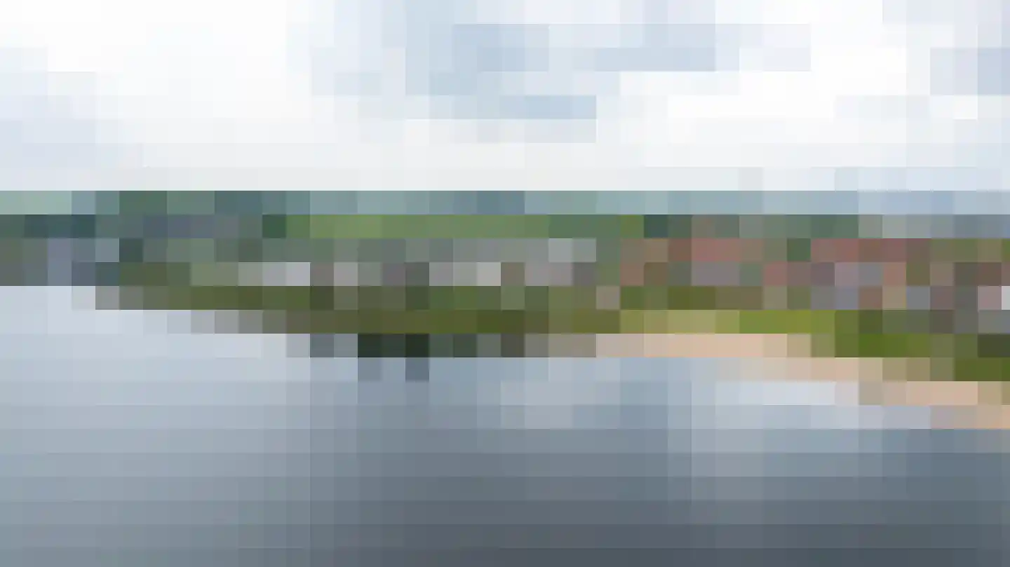Zilvermeeuw 10 Lathum thumbnail 58