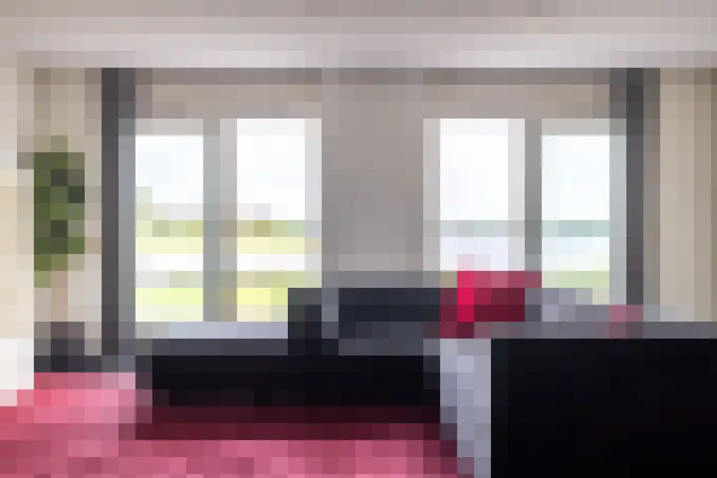 Zilvermeeuw 10 Lathum thumbnail 6
