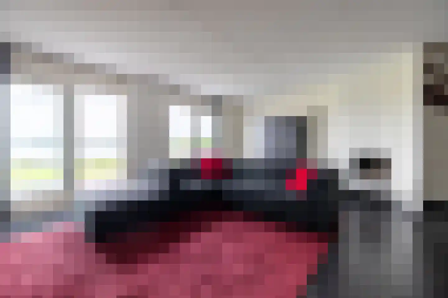 Zilvermeeuw 10 Lathum thumbnail 7