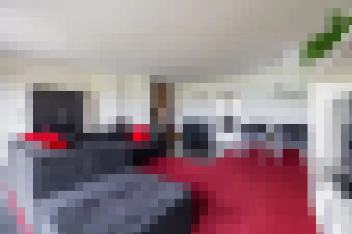 Zilvermeeuw 10 Lathum thumbnail 8