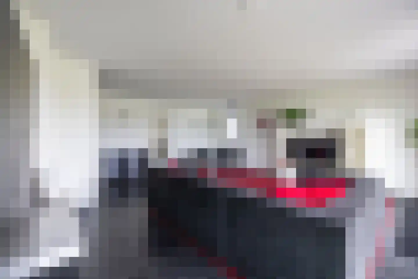 Zilvermeeuw 10 Lathum thumbnail 9