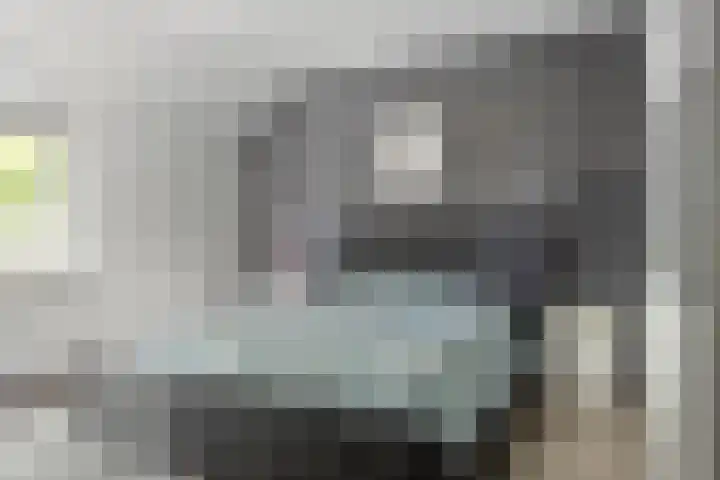 Zilvermeeuw 102 Etten-Leur thumbnail 14